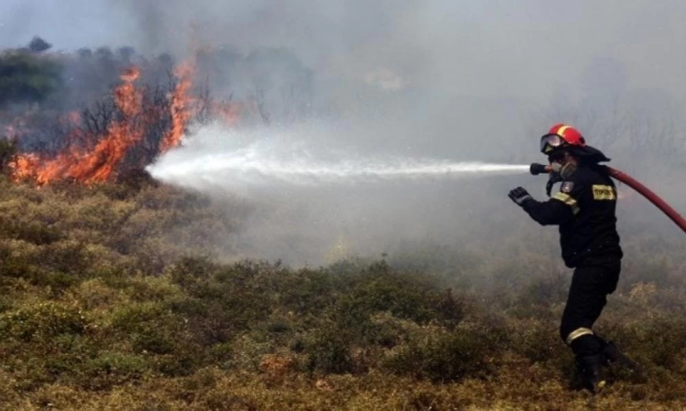 Πυρκαγιά σε δασική περιοχή της Βόρειας Εύβοιας